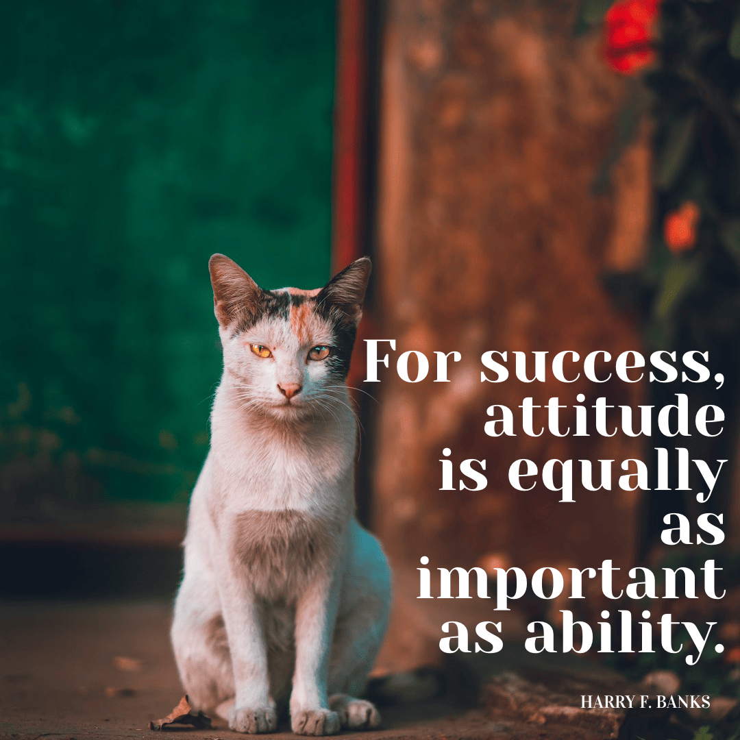 For success, attitude is equally as important as ability - Harry F. Banks