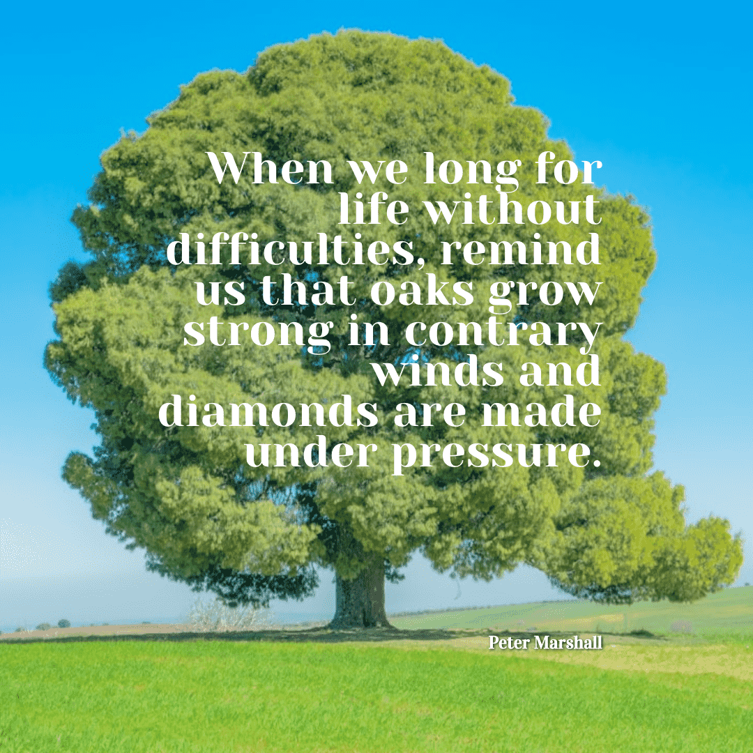 When we long for life without difficulties, remind us that oaks grow strong in contrary winds and diamonds are made under pressure. - Peter Marshall