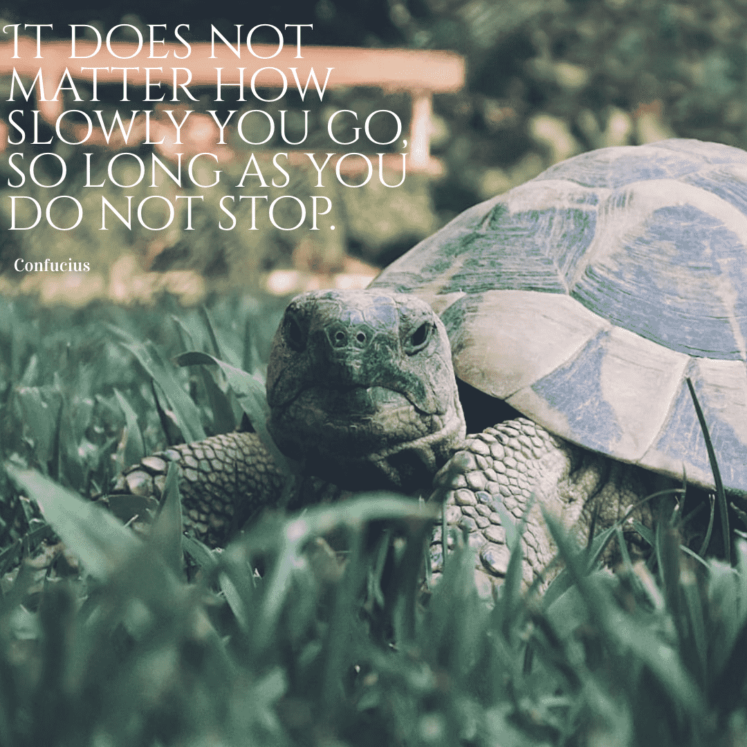 It does not matter how slowly you go as long as you do not stop.