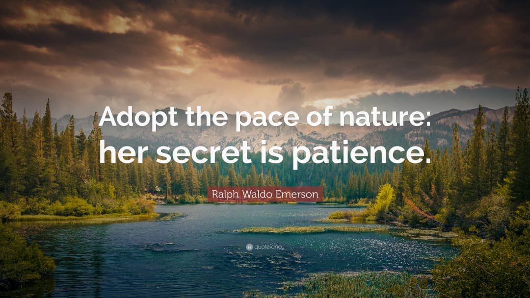 Adopt the pace of nature: her secret is patience.