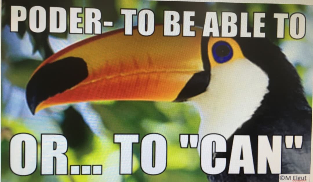 A meme about 'poder' which means 'to can', while depicting a Tucan!